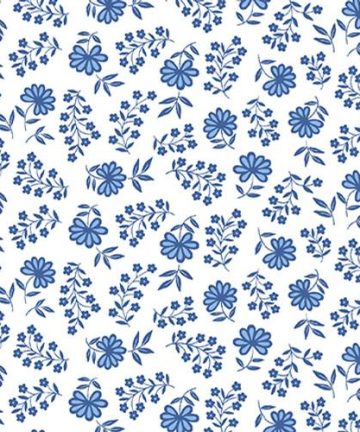 BQ Anthem B2484-07 White/Blue