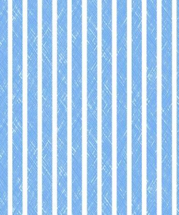Baby Beluga - Blue Stripe