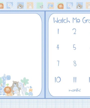 Little Peepers Flannel - Milestone Panel