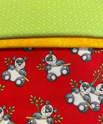 Noah's Story  Pillowcase Kit # 1